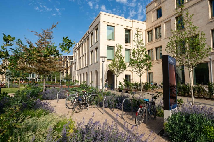 Modern landscaped courtyard with planting beds, bicycle racks and young trees beside contemporary stone buildings under a blue sky.