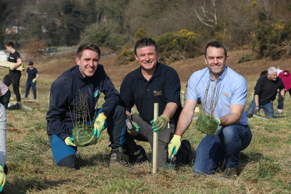 Tree planting photo