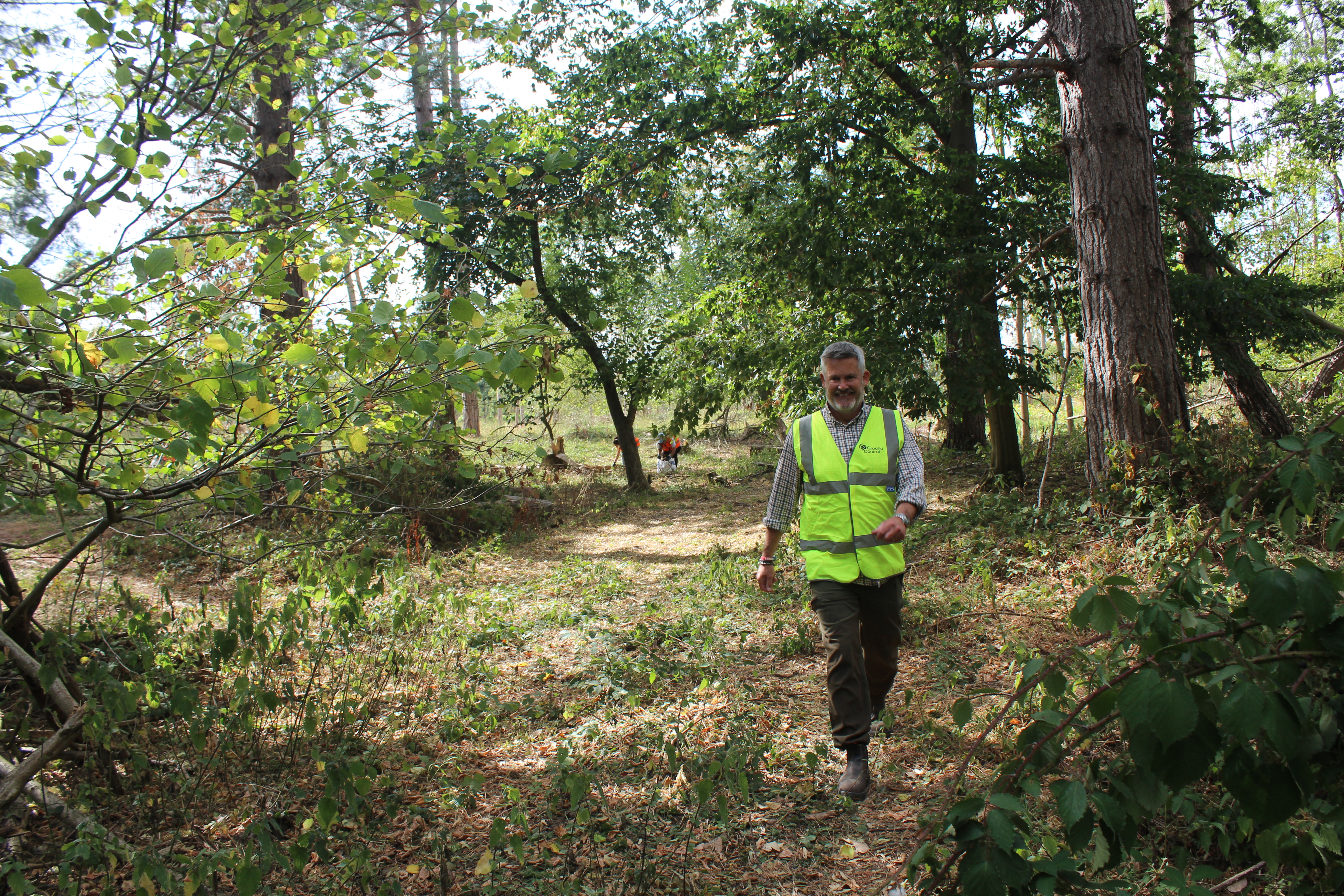 Person in a high-visibility vest walking along a cleared woodland path surrounded by mature trees, dense greenery and natural ground vegetation.