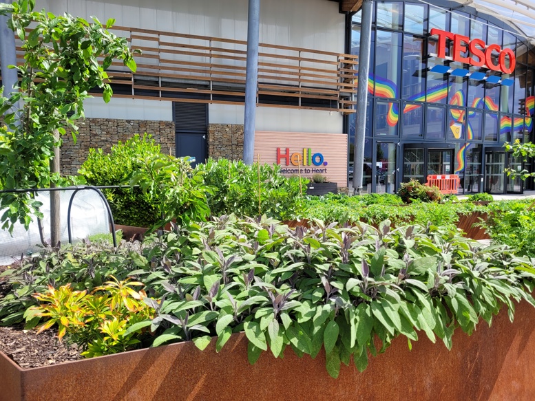 Raised planting beds filled with lush greenery outside a Tesco store entrance, featuring a variety of shrubs and plants in a landscaped urban garden setting.