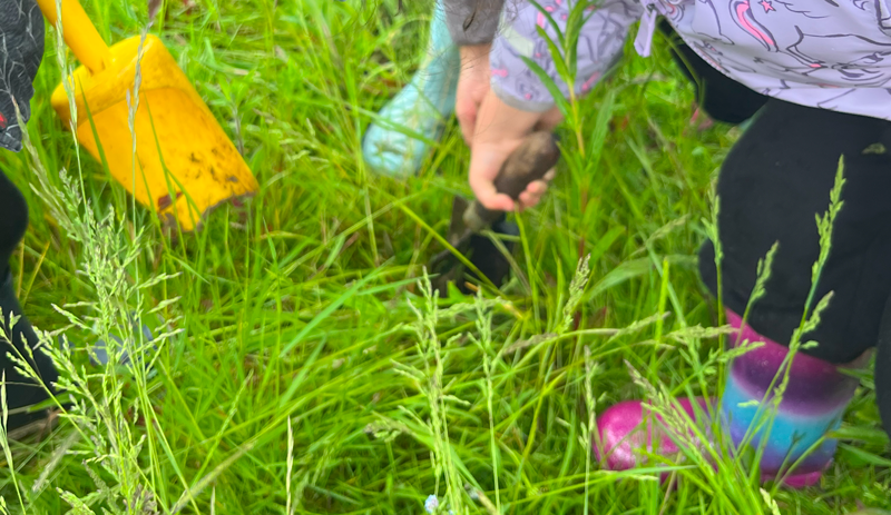 Pinner Park Reception pupils planting wildflower