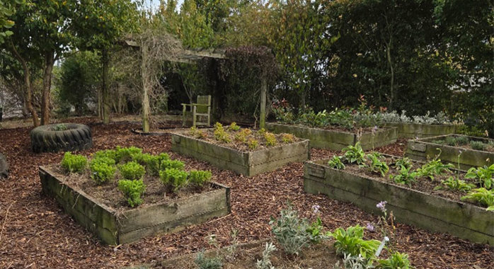 Newly planted shrubs and raised planters