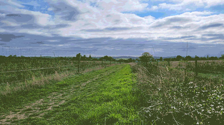 Views from Wildell and Devana habitat banks Octover 2025