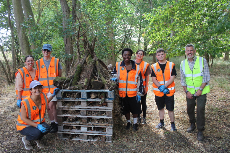 Volunteers in high-visibility vests standing beside a created bug hotel in a woodland area.