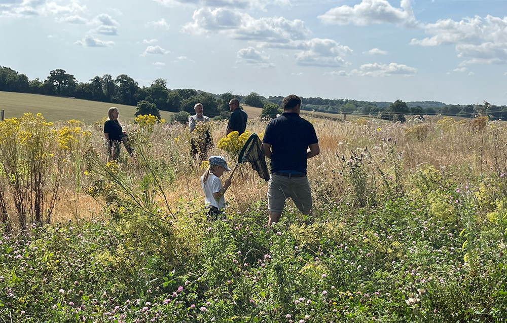 Volunteers at on a bee safari at the Wildfell Centre for Environmental Recovery