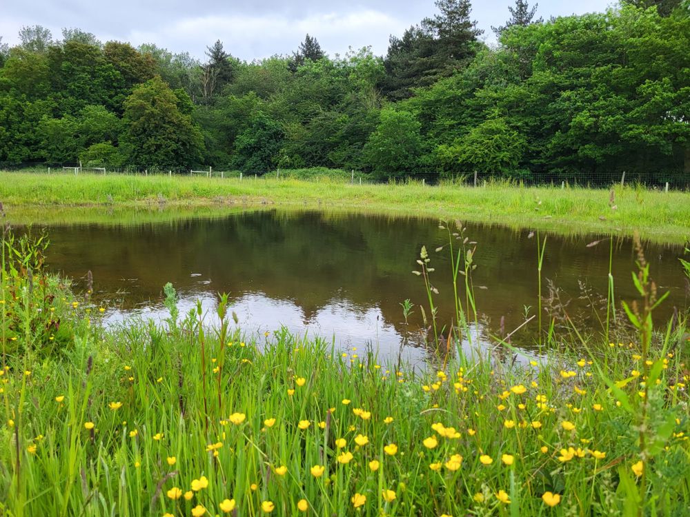 Ponds at Wildfell