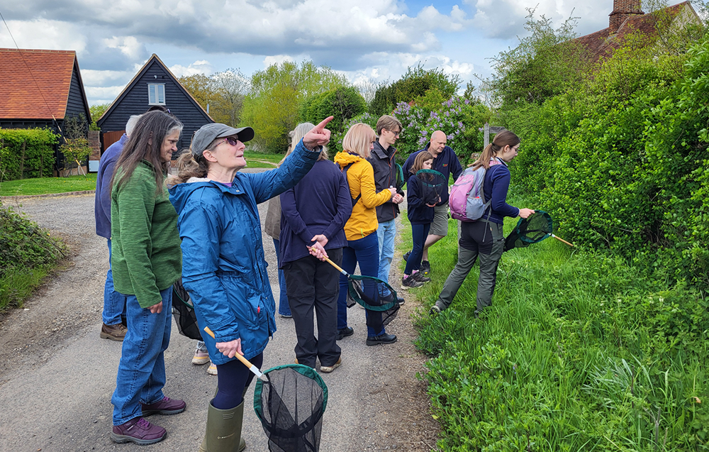 Bumblebee ambassadors at Wildfell on a bee safari 2025