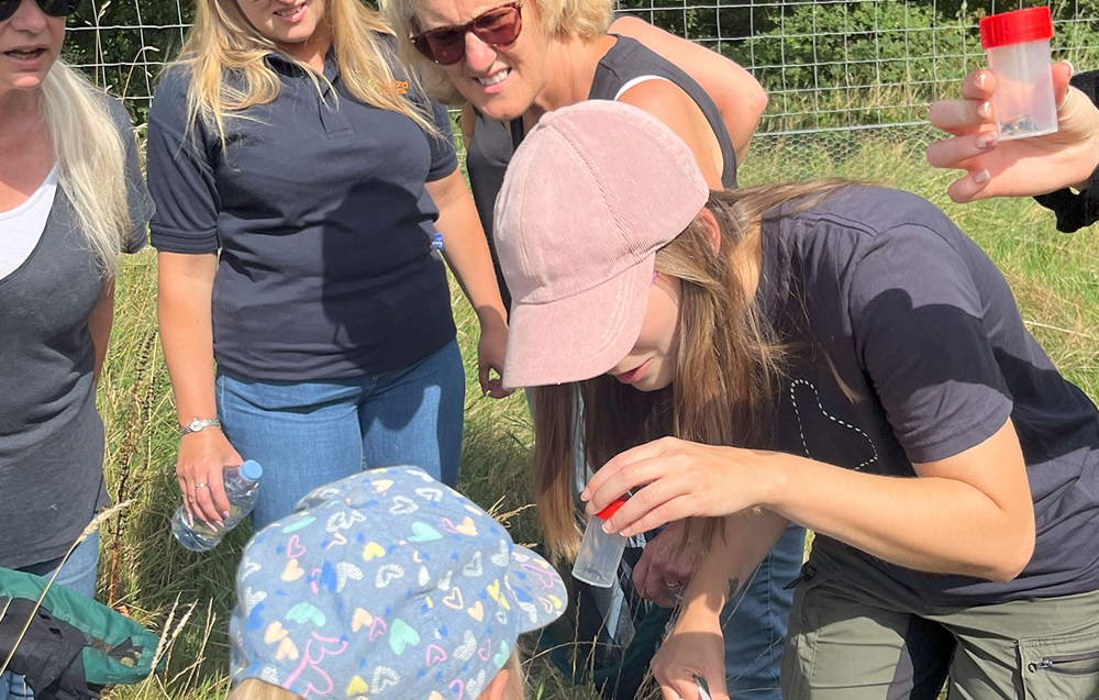 Volunteers on a bee walk at Wildfell, learning to become bumblebee ambassadors and citizen scientists