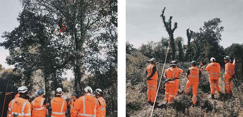 Ground Control Arboricultural Awareness Training